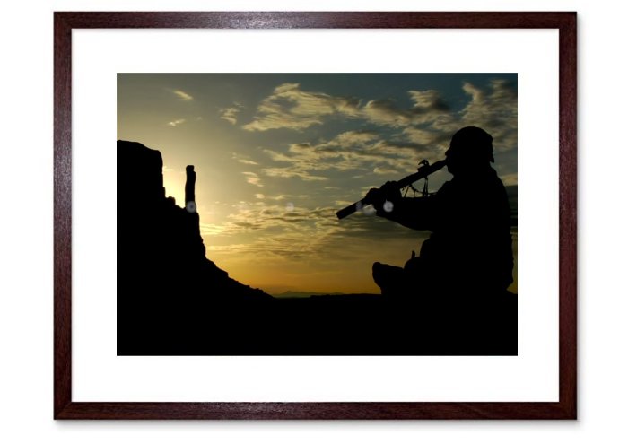 North American IndianFramed Print
